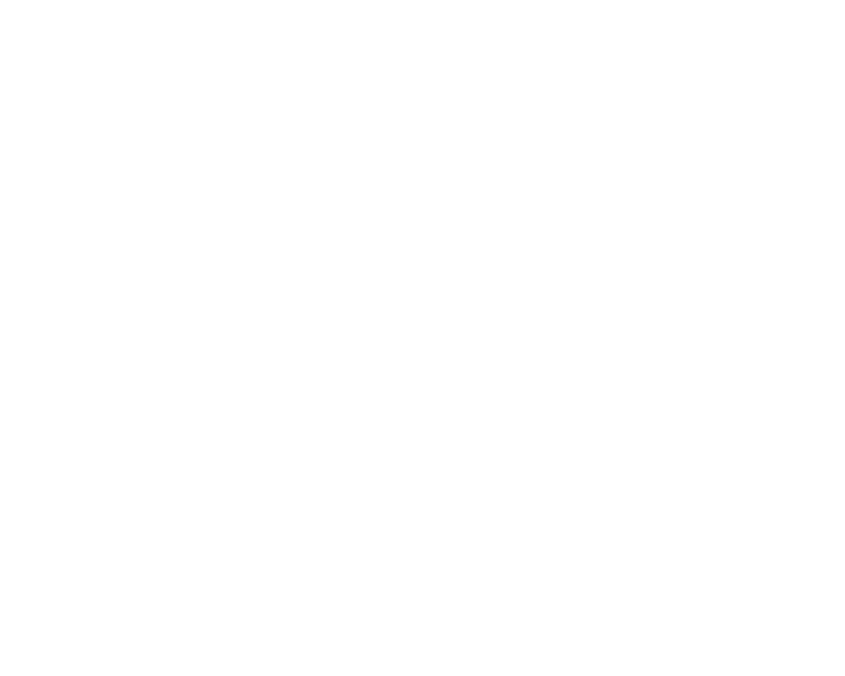 SEYAA Southeast Youth Athletic Association